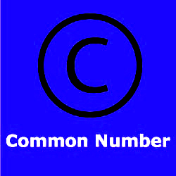 Teer Common Numbers Today