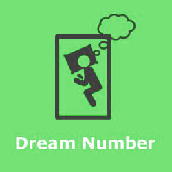 Teer Dream Numbers Analysis